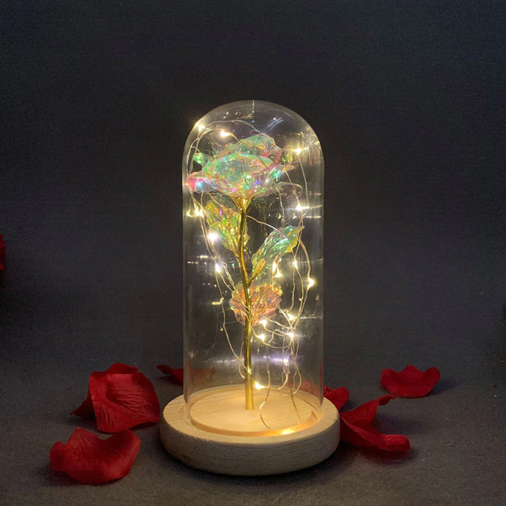 Enchanted Galaxy Rose Dome